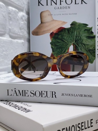 Celine Sunglasses Luxury Brand Womens Sunglasses with Original Box  CL40194