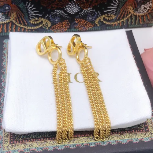 Dior Luxury Womens Earrings
