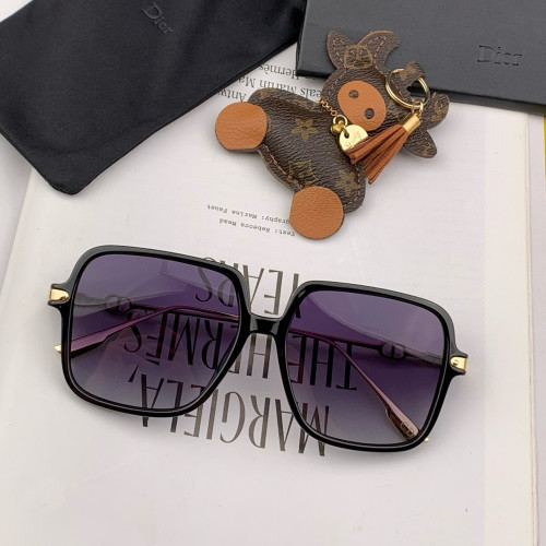 Dior Sunglasses Luxury Brand Womens Sunglasses with Original Box  CD2233