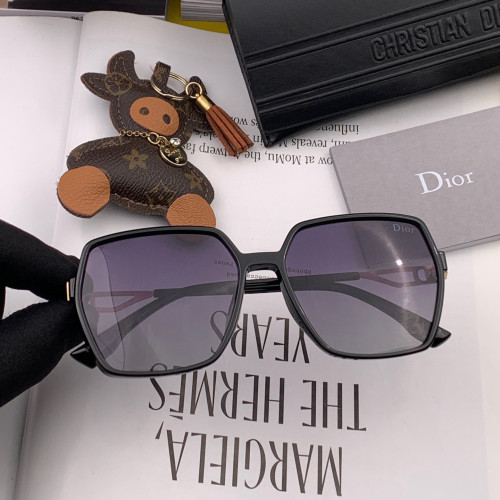 Dior Sunglasses Luxury Brand Womens Sunglasses with Original Box  CD6231