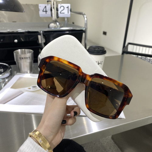 Celine Sunglasses Luxury Brand Womens Sunglasses with Original Box  CL4S490