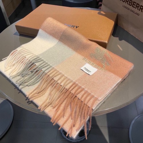 Burberry Scarves Womens Fashion Scarf063