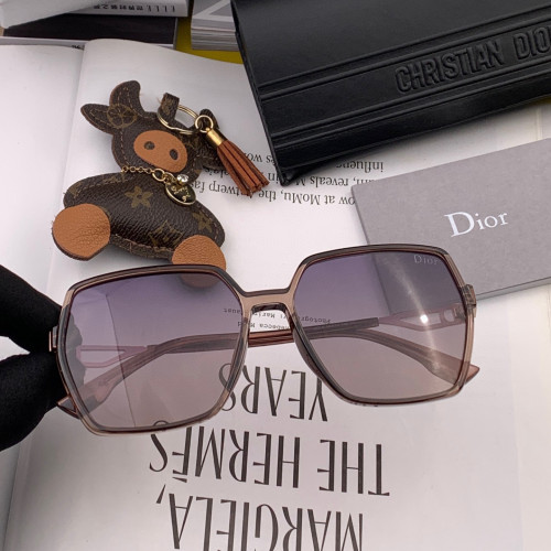 Dior Sunglasses Luxury Brand Womens Sunglasses with Original Box  CD6231