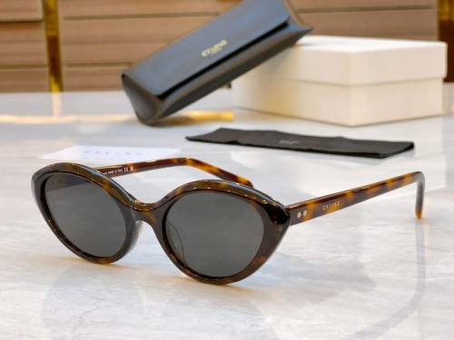 Celine Sunglasses Luxury Brand Womens Sunglasses with Original Box  CL40264U