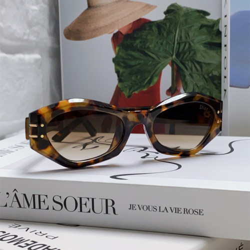 Dior Sunglasses Luxury Brand Men Womens Sunglasses DiorSignature B1U with Original Box  