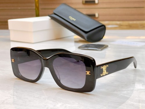 Celine Sunglasses Luxury Brand Womens Sunglasses with Original Box  CL42108U