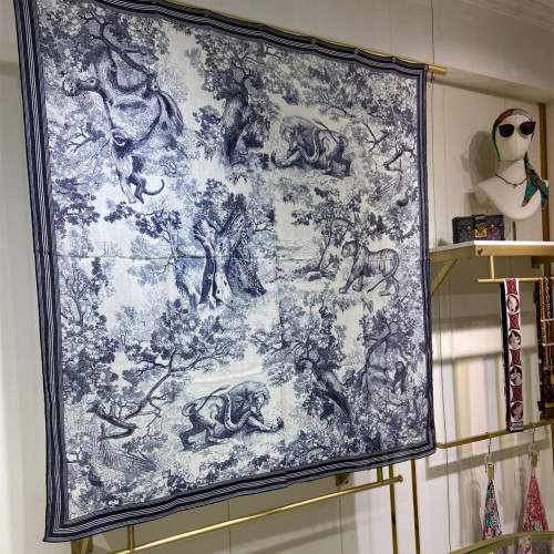Dior Scarves Womens Fashion Scarf with271