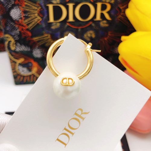 Dior Luxury Womens Earrings