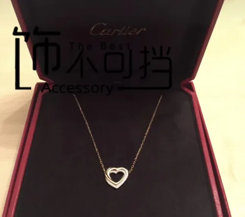 Cartier Luxury Womens Necklace