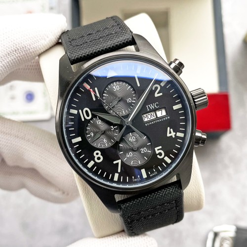 IWC Watch011