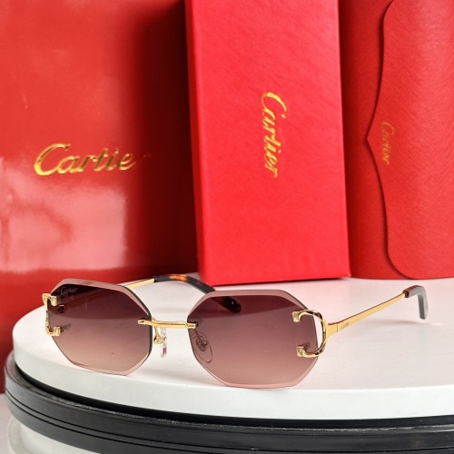 Cartier Sunglasses Luxury Brand Mens Sunglasses with Original Box  CT0091
