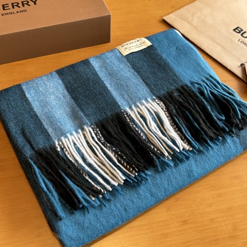 Burberry Scarves Womens Fashion Scarf049