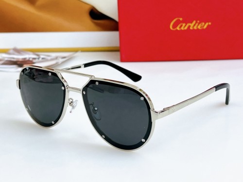 Cartier Sunglasses Luxury Brand Men Womens Sunglasses with Original Box  CT0195S