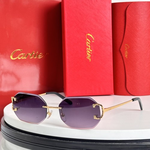 Cartier Sunglasses Luxury Brand Mens Sunglasses with Original Box  CT0091
