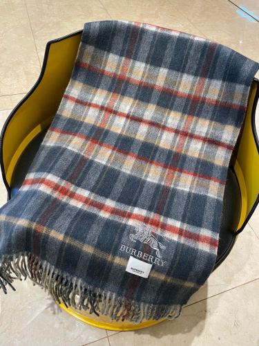 Burberry Scarves Womens Fashion Scarf072