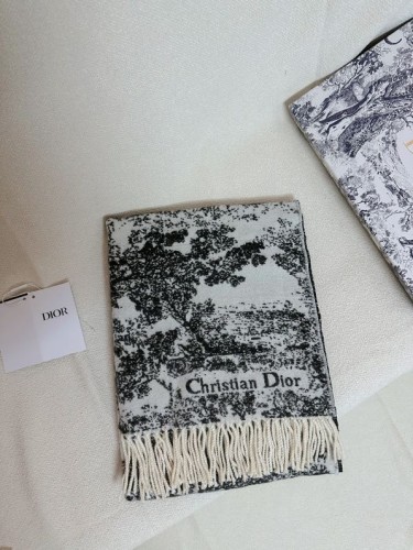 Dior Scarves Womens Fashion Scarf with007