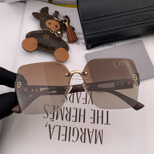 Dior Sunglasses Luxury Brand Men Womens Sunglasses with Original Box  CD9770