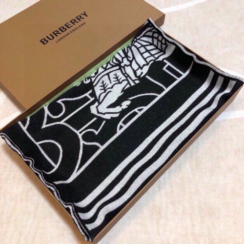 Burberry Scarves Womens Fashion Scarf141