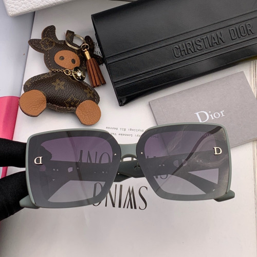 Dior Sunglasses Luxury Brand Womens Sunglasses with Original Box  CD1228