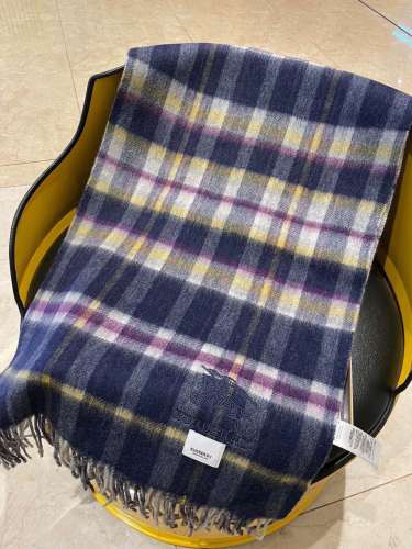 Burberry Scarves Womens Fashion Scarf076