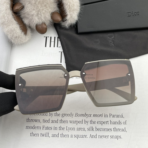 Dior Sunglasses Luxury Brand Womens Sunglasses with Original Box  CD1712