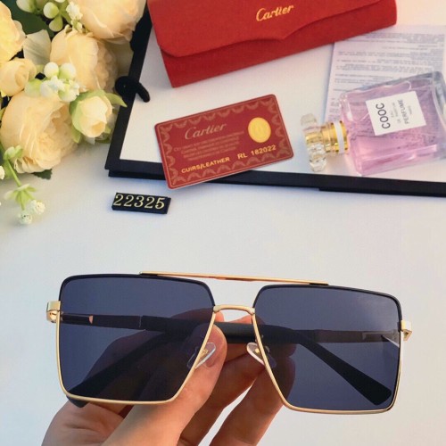 Cartier Sunglasses Luxury Brand Womens Sunglasses with Original Box  