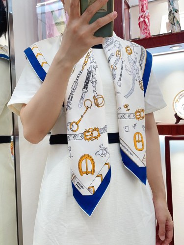 Hermes Scarves Womens Fashion Scarf Shawl 067