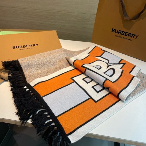 Burberry Scarves Womens Fashion Scarf059