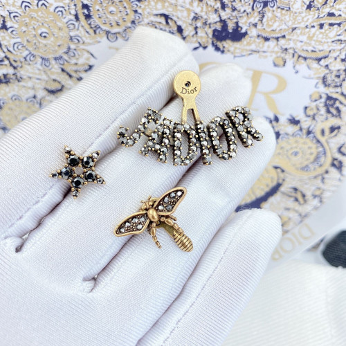 Dior Luxury Womens Earrings