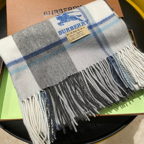Burberry Scarves Womens Fashion Scarf277