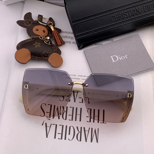 Dior Sunglasses Luxury Brand Womens Sunglasses with Original Box  CD0291