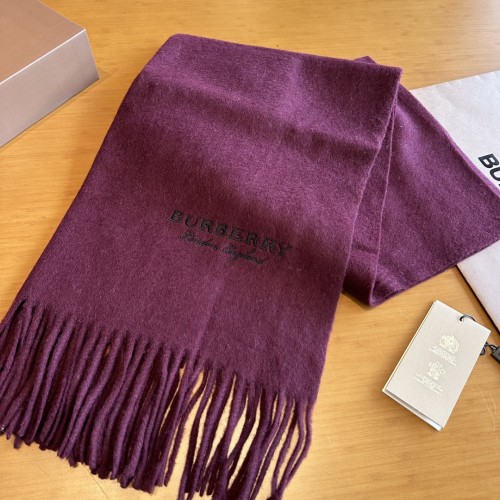 Burberry Scarves Womens Fashion Scarf051