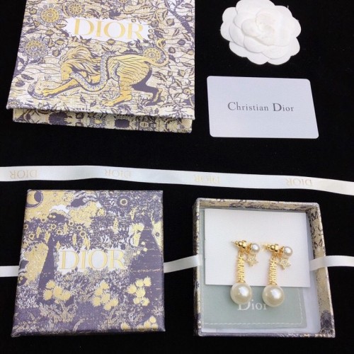 Dior Luxury Womens Earrings