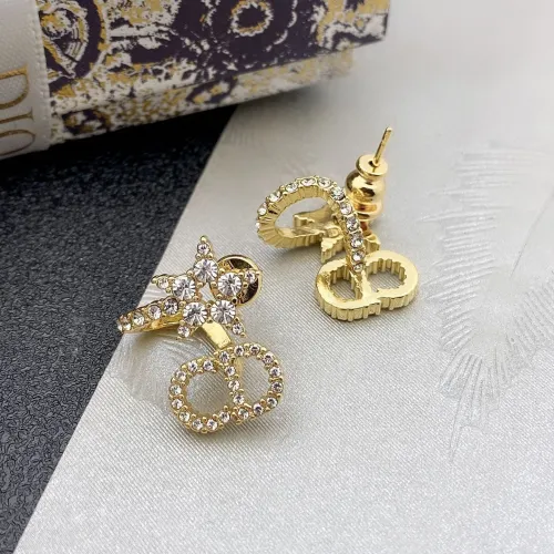Dior Luxury Womens Earrings