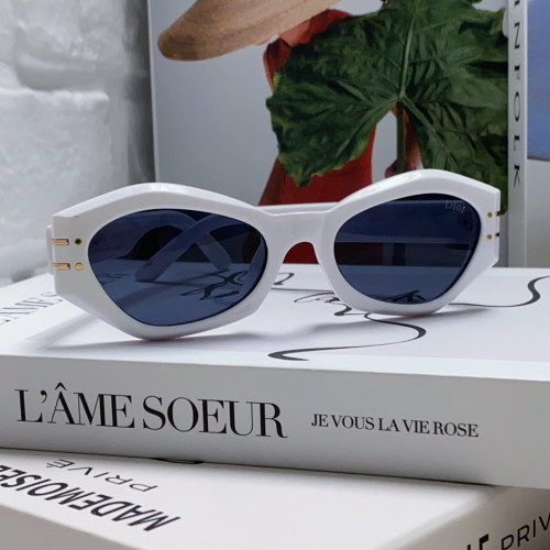 Dior Sunglasses Luxury Brand Men Womens Sunglasses DiorSignature B1U with Original Box  