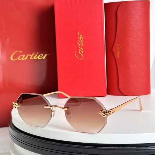 Cartier Sunglasses Luxury Brand Men Womens Sunglasses with Original Box  CT0585S