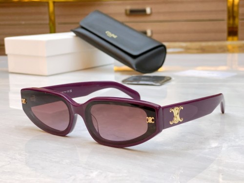 Celine Sunglasses Luxury Brand Womens Sunglasses with Original Box  CL 40314