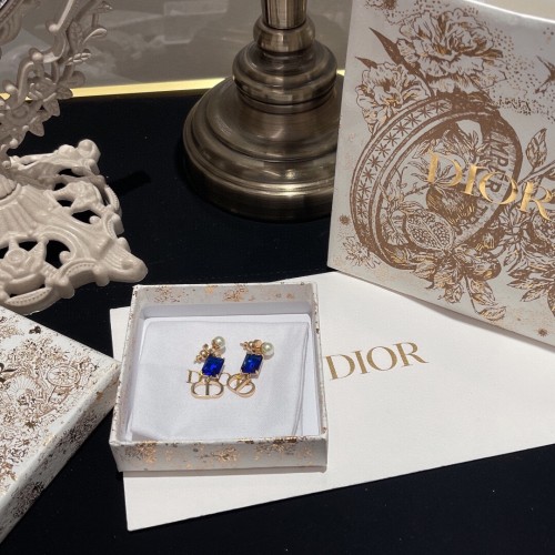 Dior Luxury Womens Earrings