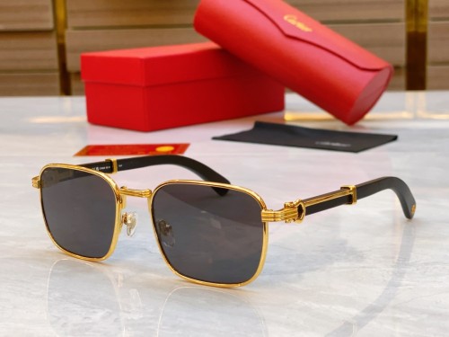Cartier Sunglasses Luxury Brand Men Womens Sunglasses with Original Box  CT0363S