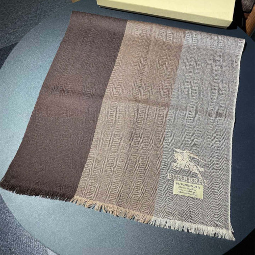 Burberry Scarves Womens Fashion Scarf243