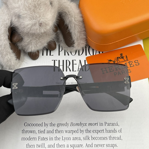 Hermes Sunglasses Luxury Brand Womens Sunglasses with Original Box  H7970