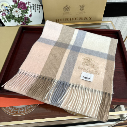 Burberry Scarves Womens Fashion Scarf125
