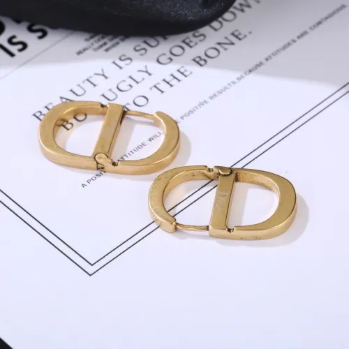 Dior Luxury Womens Earrings