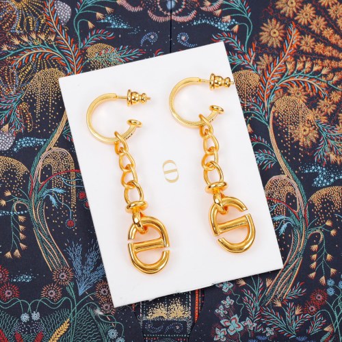 Dior Luxury Womens Earrings