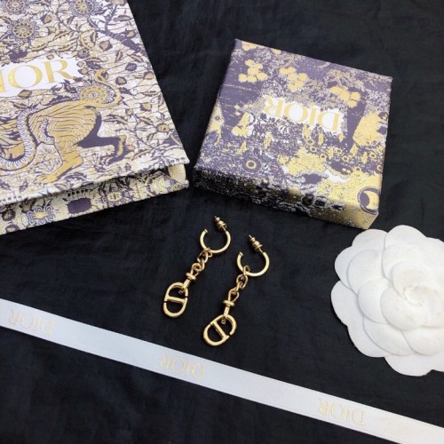 Dior Luxury Womens Earrings