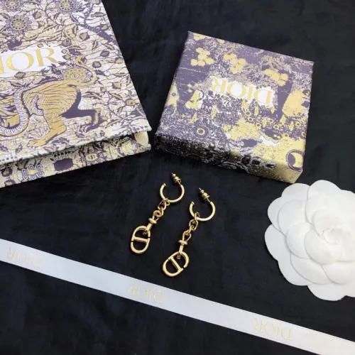 Dior Luxury Womens Earrings