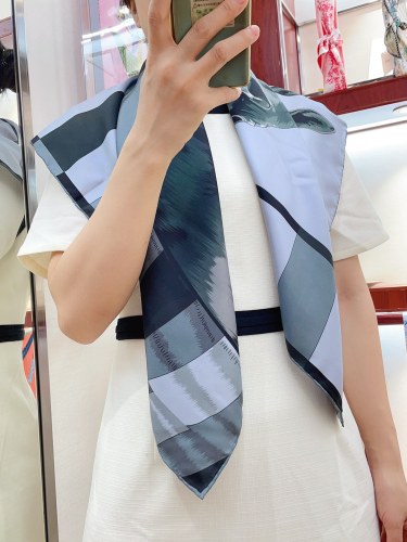 Hermes Scarves Womens Fashion Scarf Shawl 099