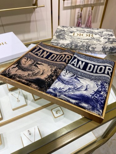 Dior Scarves Womens Fashion Scarf with064