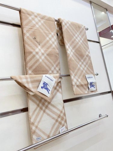 Burberry Scarves Womens Fashion Scarf006