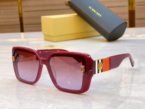 Burberry Sunglasses Luxury Brand Women Mens Sunglasses with Original Box  BE6009